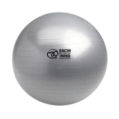 Fitness-Mad 150kg Swiss Ball And Pump