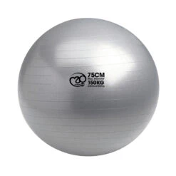 Fitness-Mad 150kg Swiss Ball And Pump -Rehabilitation Exercise Equipment 150kg swiss ball pump 55cm2