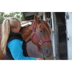 Photizo Vetcare Hand-Held Red Light Therapy Device -Rehabilitation Exercise Equipment Photizon vetcare light therapy hand held3