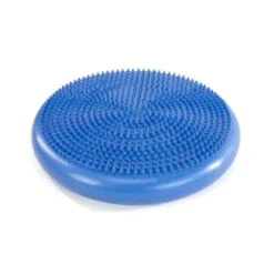 Activity Disc Wobble Cushion
