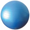 Physioworx Anti Burst Exercise Ball 250 Kg
