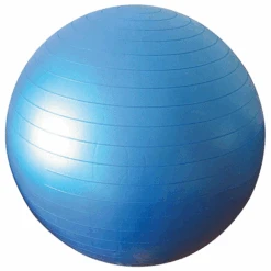 Physioworx Anti Burst Exercise Ball 250 Kg