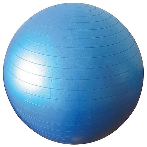 Physioworx Anti Burst Exercise Ball 250 Kg 1 Physioworx Anti Burst Exercise Ball 250 Kg