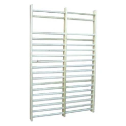 Wall Mounted Exercise Bars